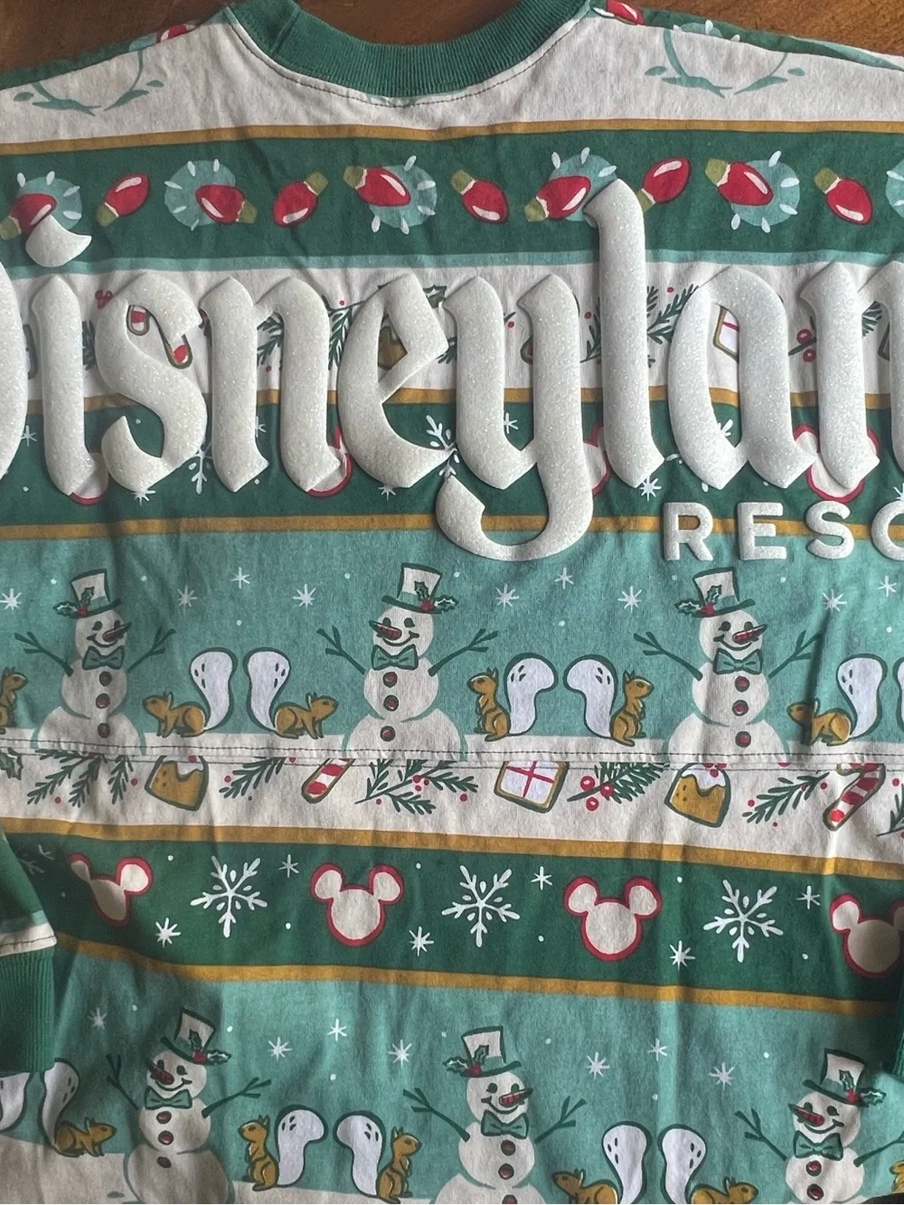 Disneyland long sleeve shirt NWOT - Picture 4 of 5